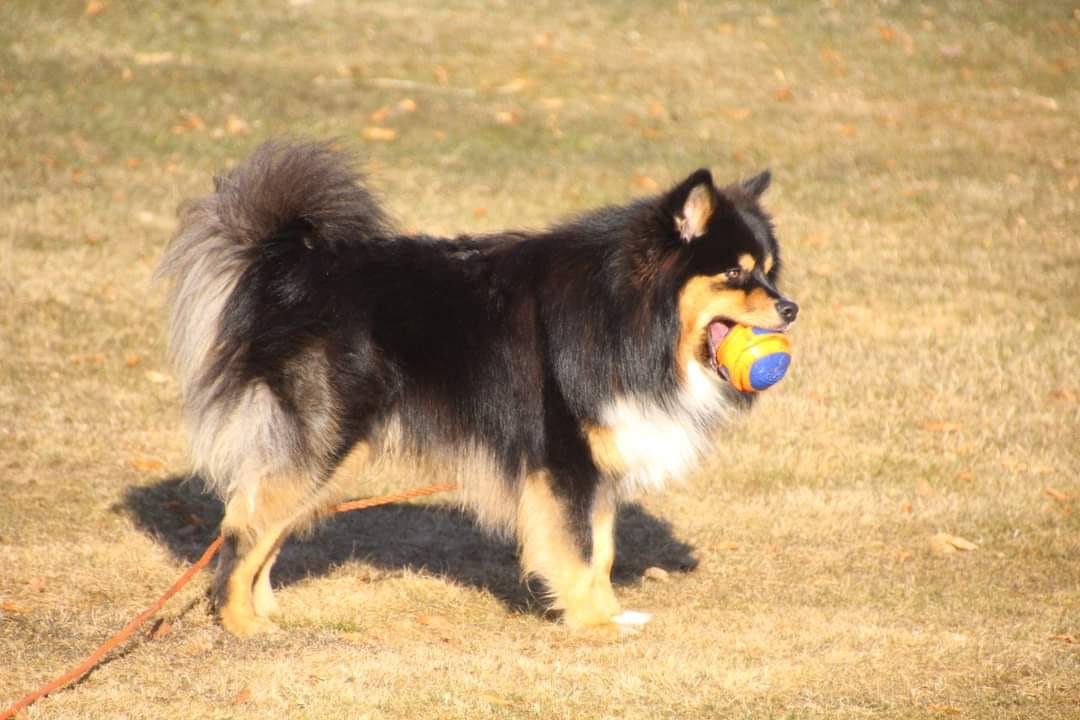 Terkel Terkel