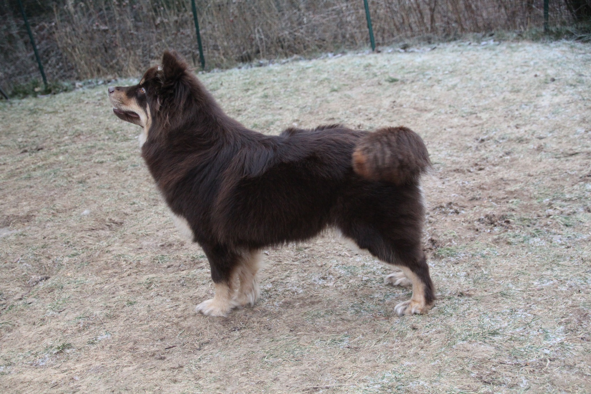 Miska Miska