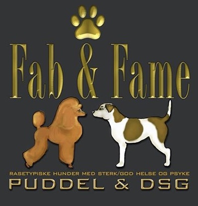 Fab & Fames 