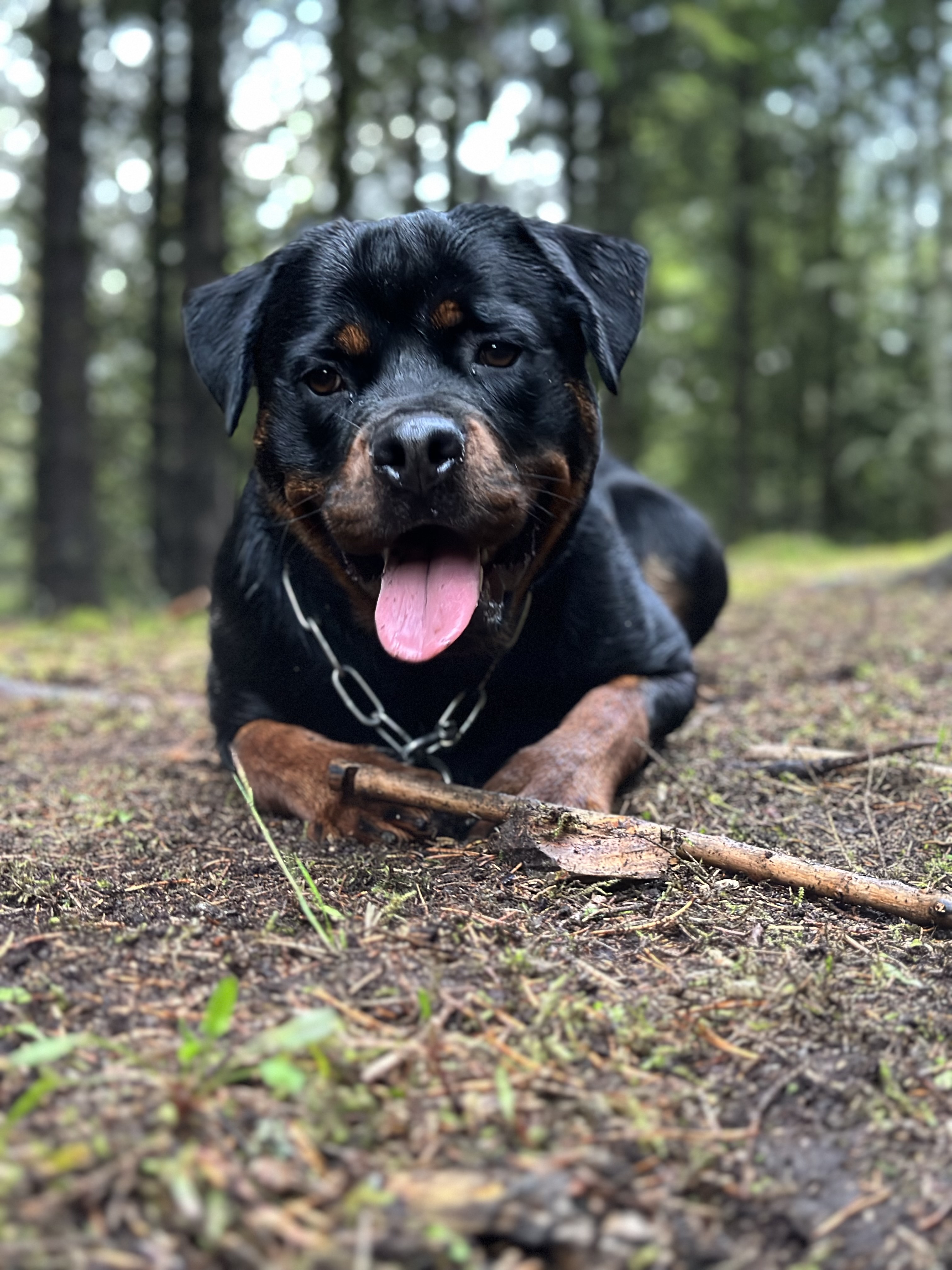 Ronja Ronja