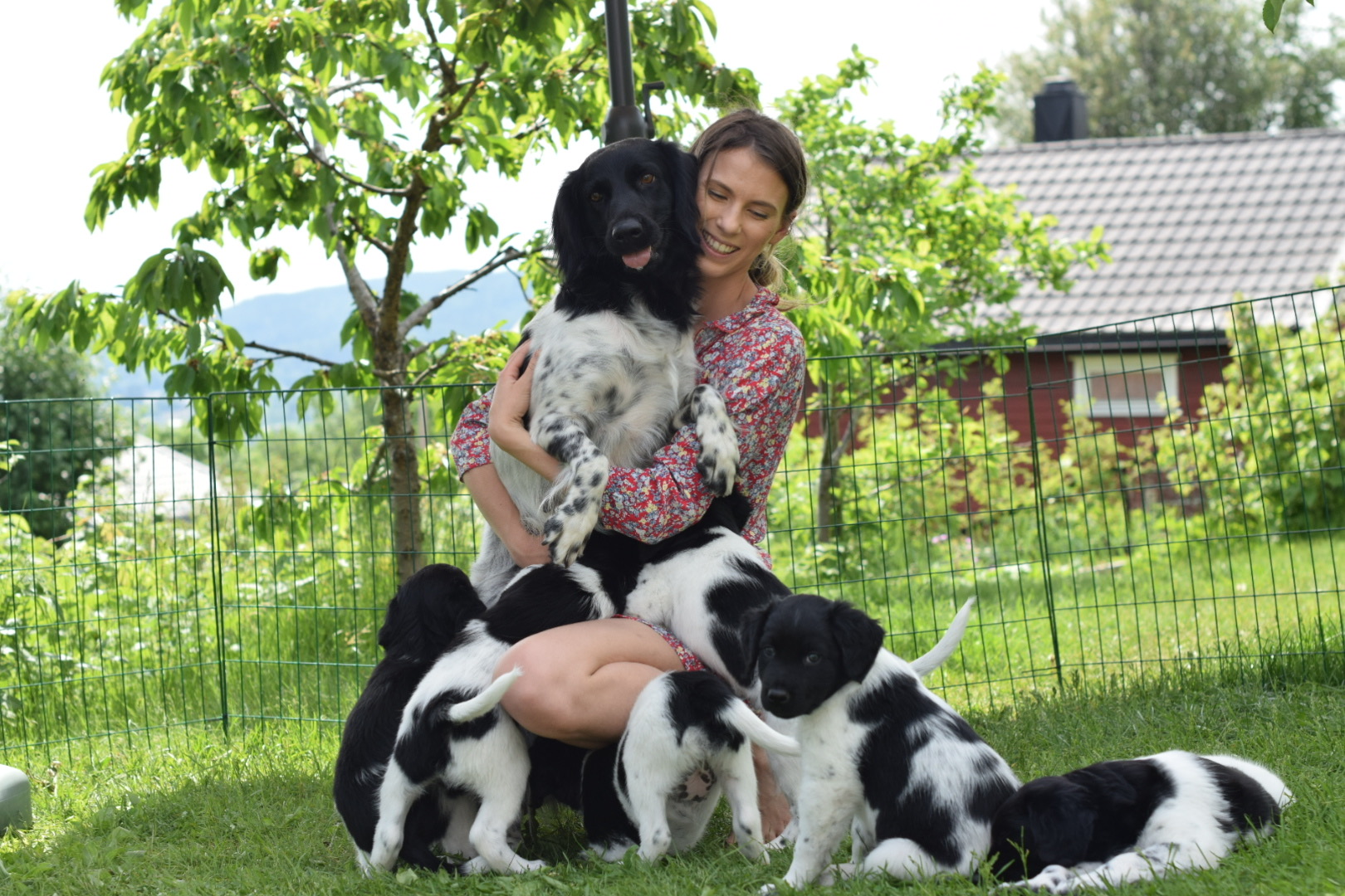 Kennel Nitjagila