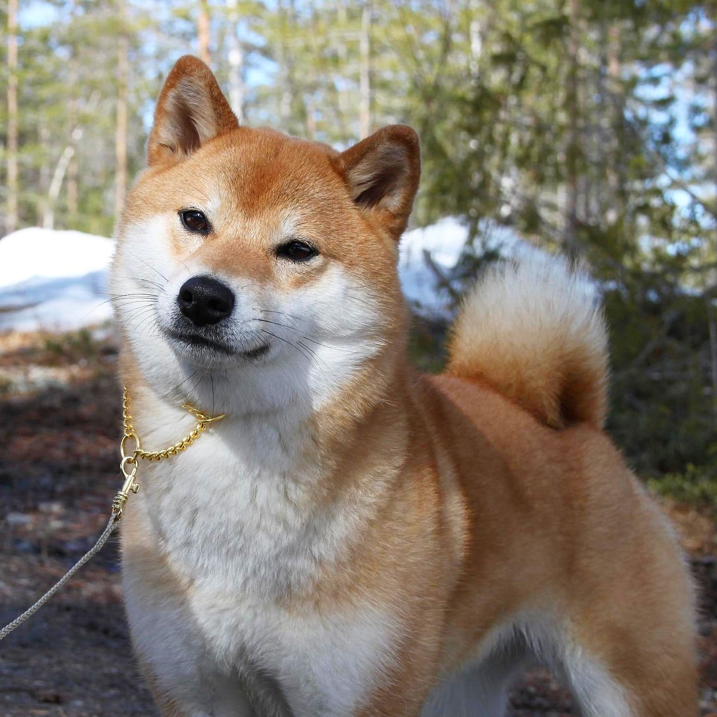 Keiko Keiko