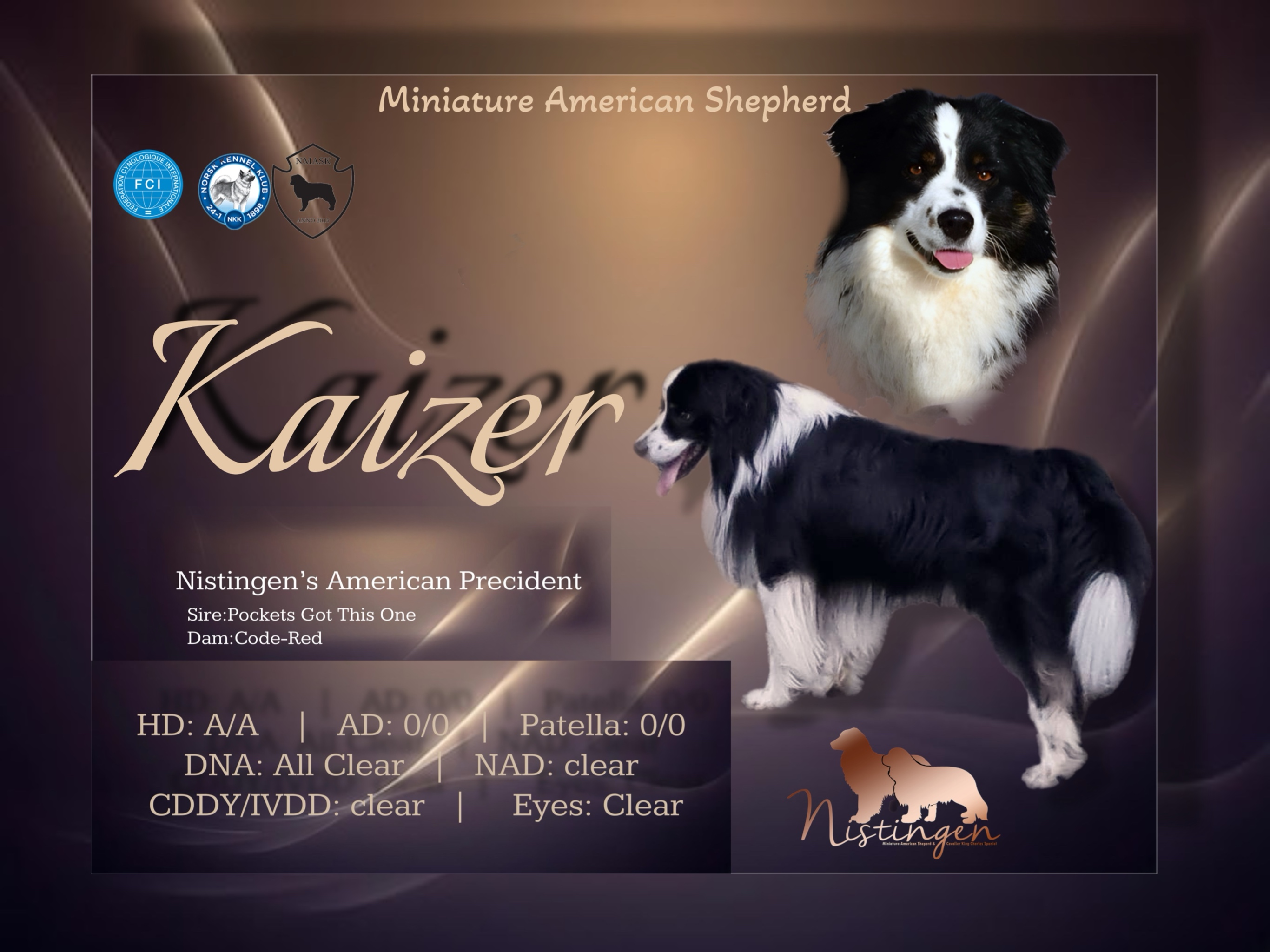 Kaizer Kaizer
