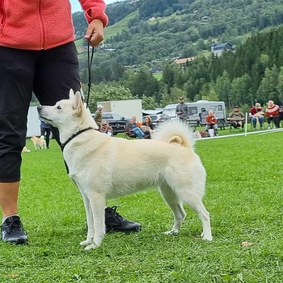 Heira Heira