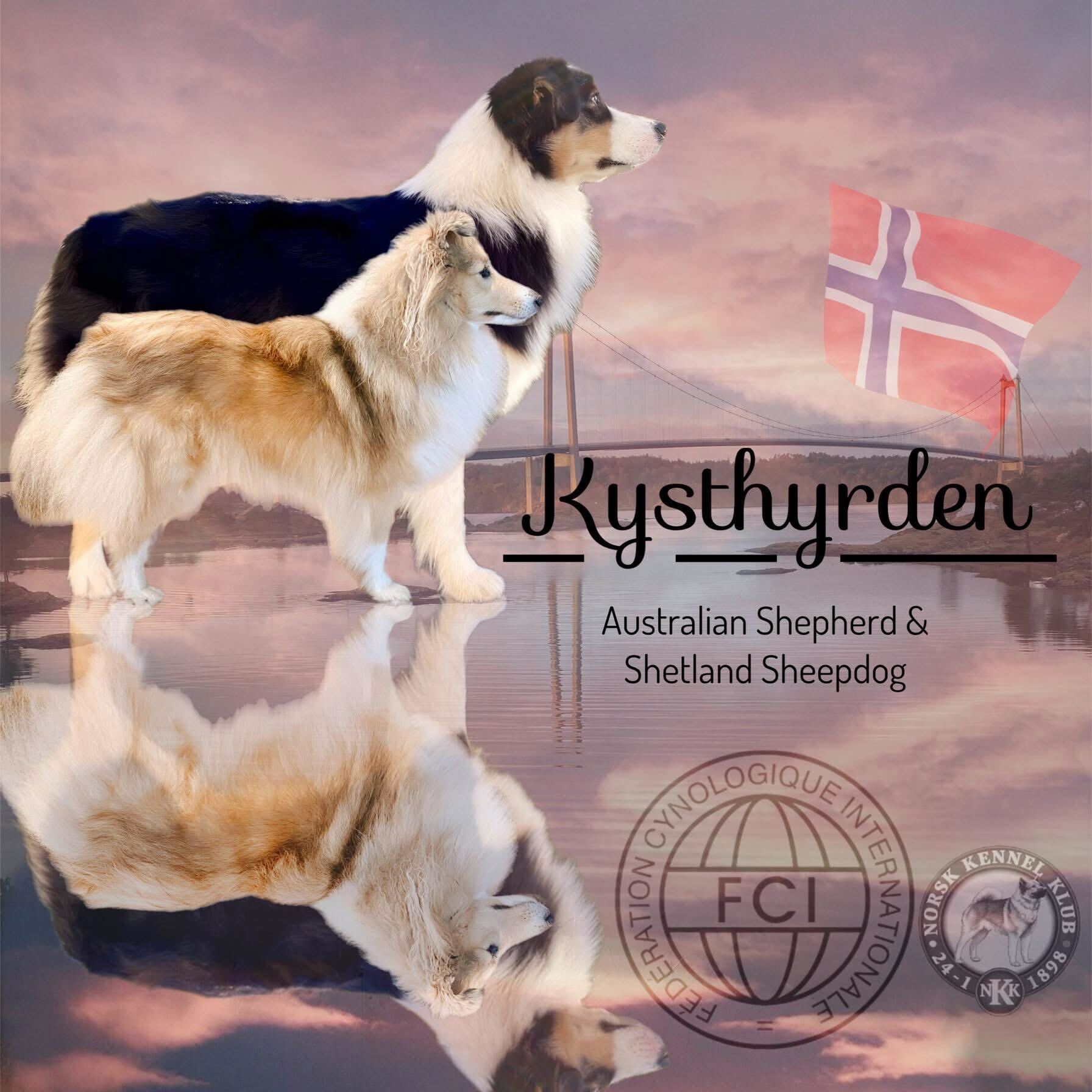 Besøk Kennel Kysthyrden Besøk Kennel Kysthyrden