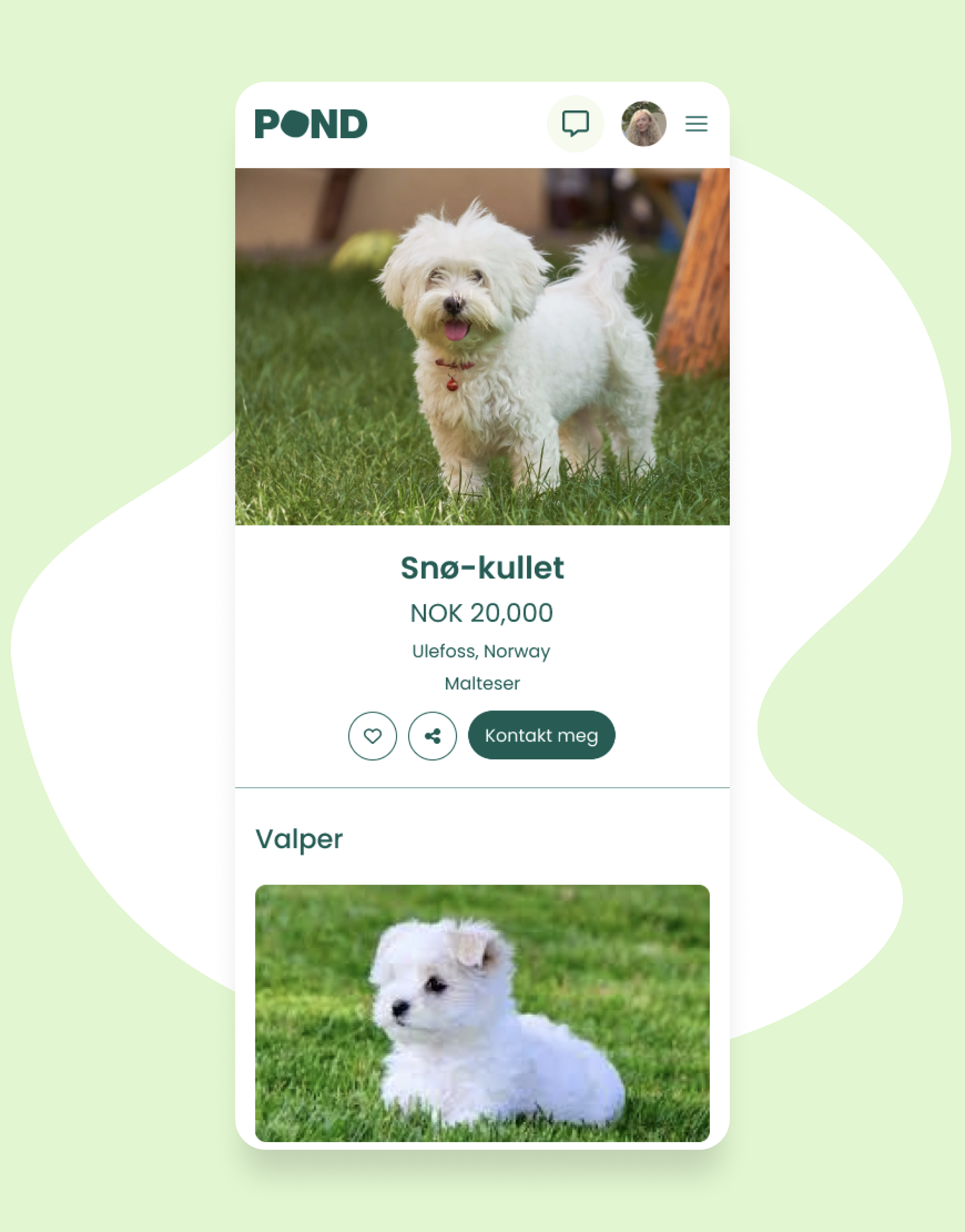 Valpeannonse – Tilpasset for hund og valpekjøpere Valpeannonse – Tilpasset for hund og valpekjøpere