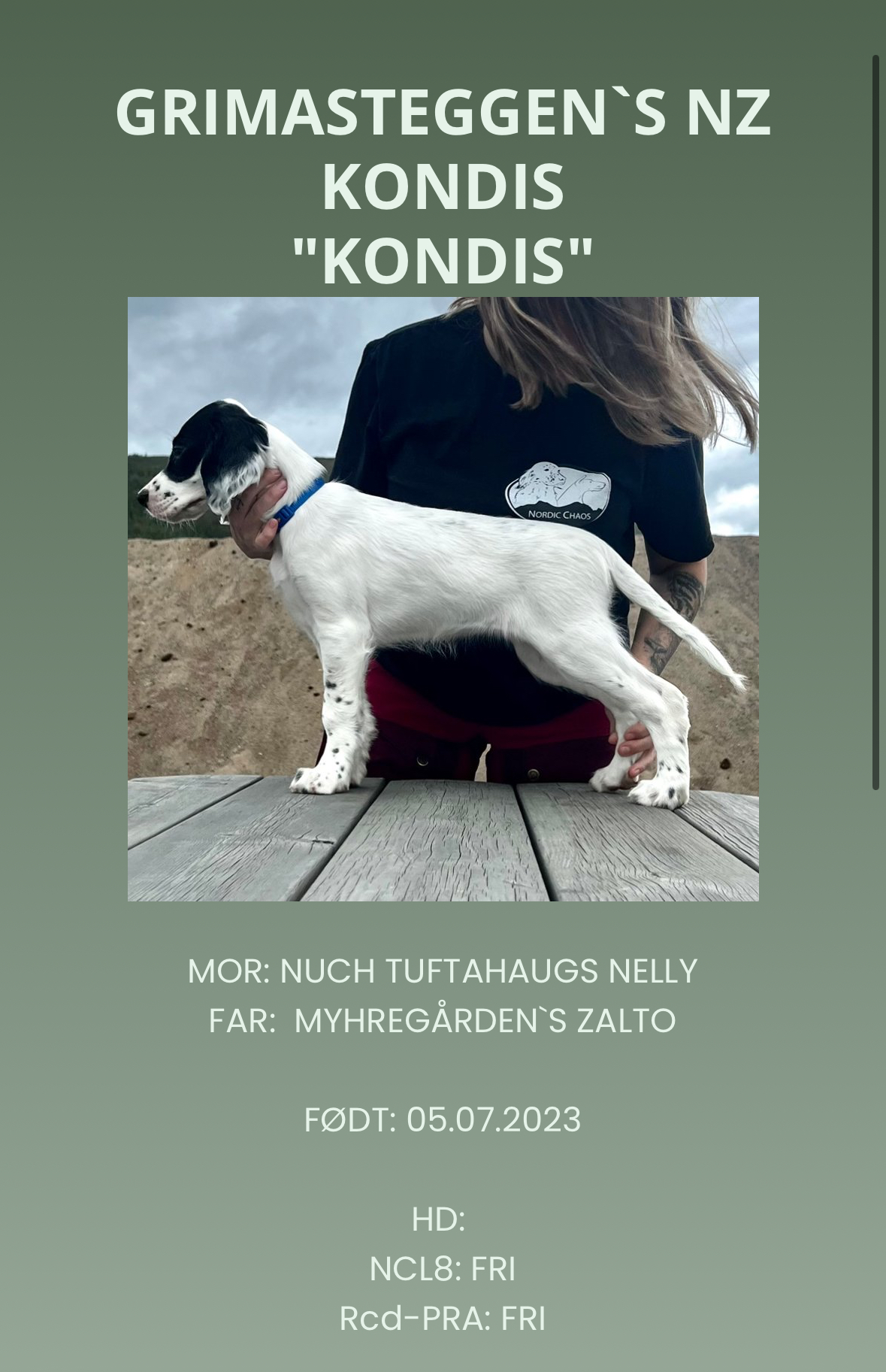 Grimasteggen's NZ Kondis Grimasteggen's NZ Kondis