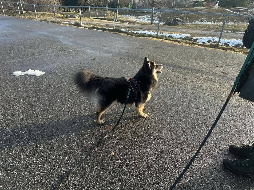 Bella Bella