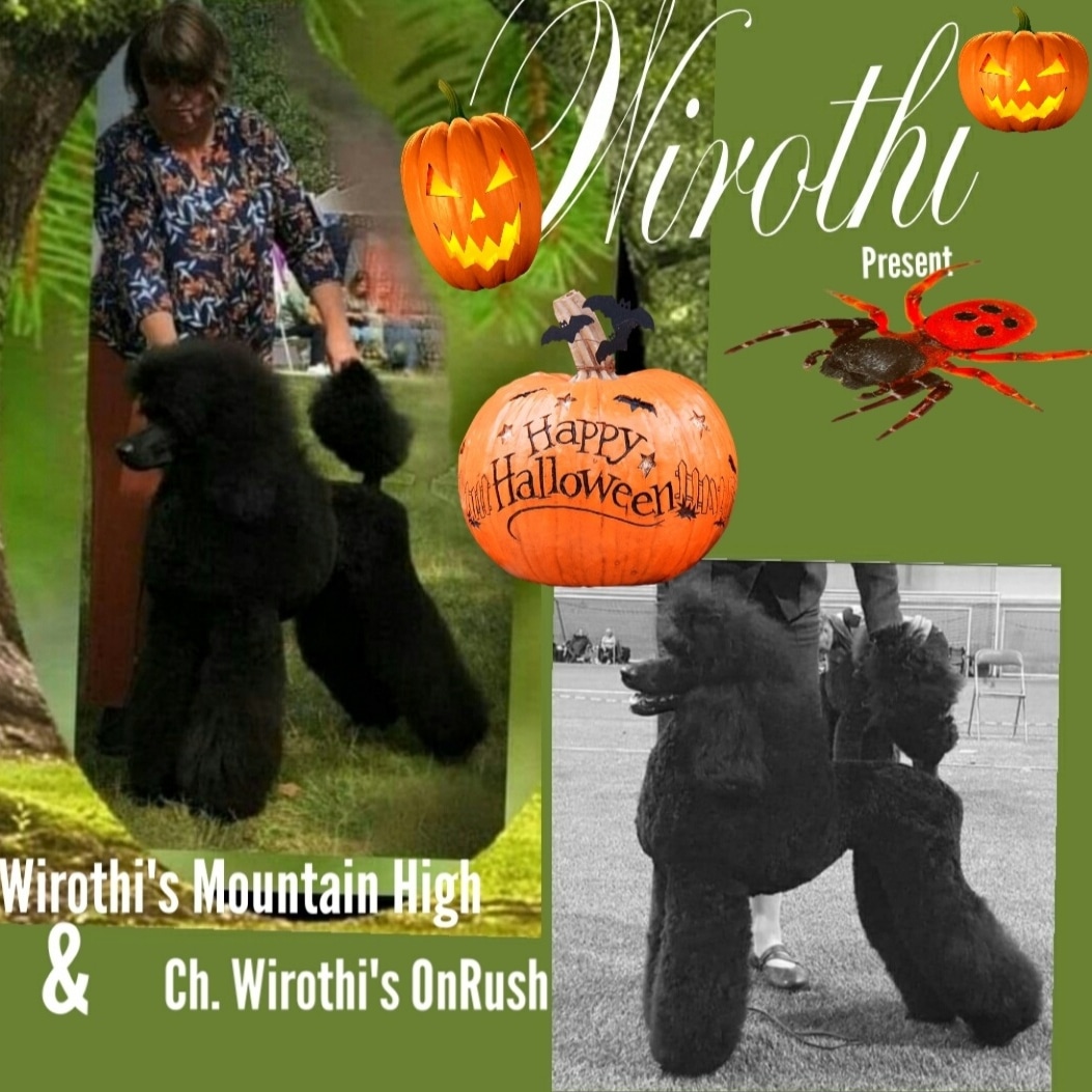 Wirothi's Mountain High Wirothi's Mountain High