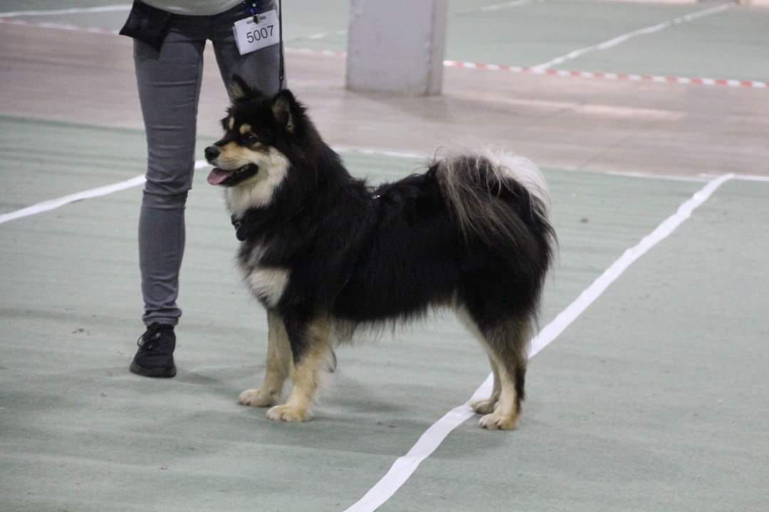 Tero Tero